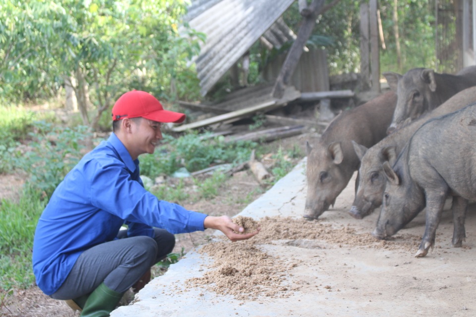 Chàng trai trẻ một mình lên núi mở trang trại khởi nghiệp - 3 Chàng trai trẻ một mình lên núi mở trang trại khởi nghiệp - 3