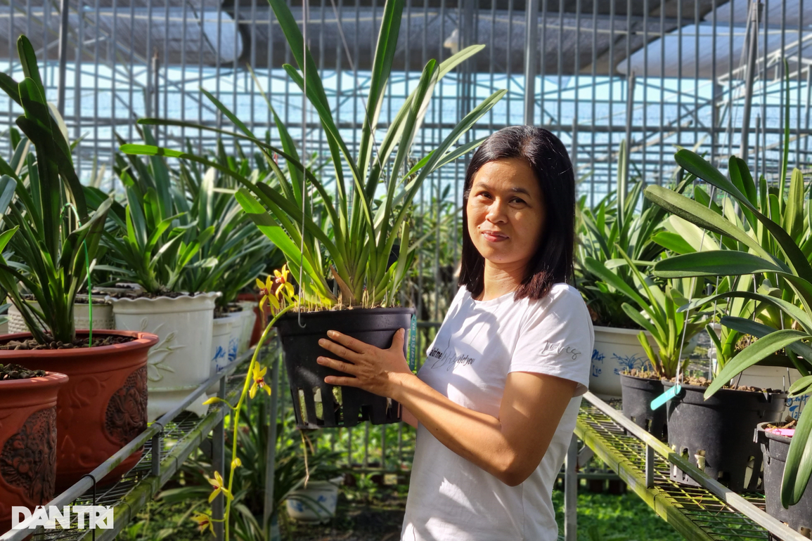 Bỏ nghề giáo về trồng lan rừng, thu lãi tiền tỷ mỗi năm - 2 Bỏ nghề giáo về trồng lan rừng, thu lãi tiền tỷ mỗi năm - 2