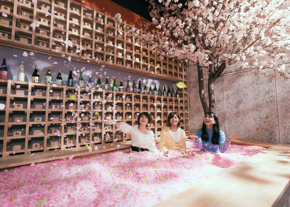 Ngâm mình trong 1,2 triệu cánh hoa sakura giữa lễ hội mùa xuân - 3 Ngâm mình trong 1,2 triệu cánh hoa sakura giữa lễ hội mùa xuân - 3