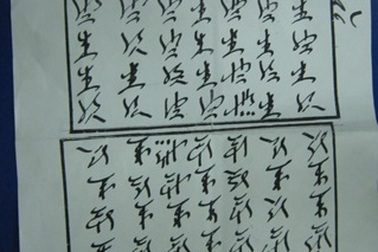 Chữa bệnh bằng bùa chú bại lộ, lang băm dở thói côn đồ