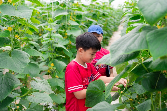 Khám phá Hành trình nông sản sạch tại WinEco Tam Đảo - 9 Khám phá Hành trình nông sản sạch tại WinEco Tam Đảo - 9