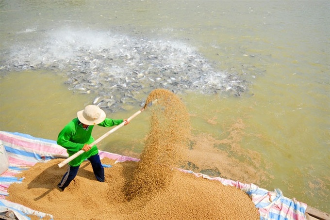 Giá nguyên liệu tăng cao khiến doanh nghiệp thuỷ sản trong nước gặp nhiều khó khăn - Ảnh 2.