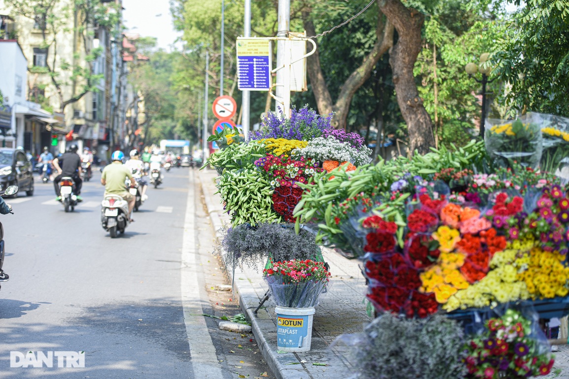 Chị em Hà thành chịu chơi, chi tiền triệu săn ảnh hoa loa kèn - 1 Chị em Hà thành chịu chơi, chi tiền triệu săn ảnh hoa loa kèn - 1