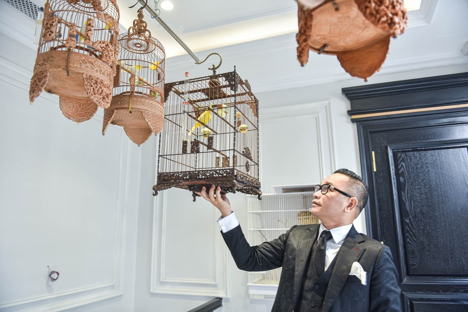 Săn lùng hoàng mào chơi Tết, đại gia thuê hẳn xe riêng đón chim quý về nhà - 1