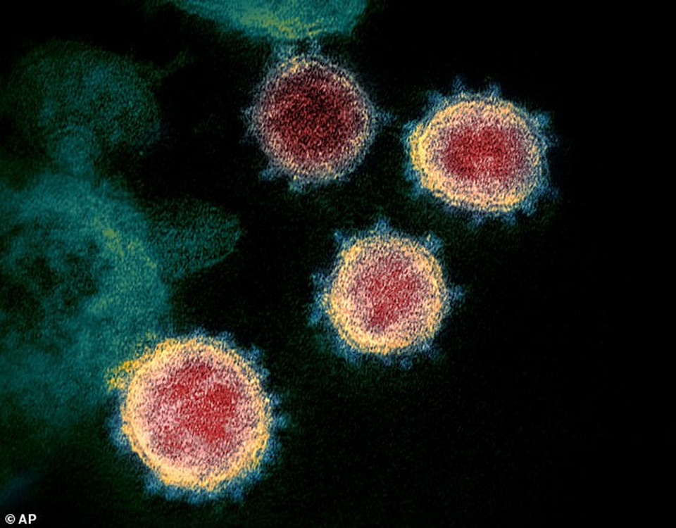 Các nhà khoa học Mỹ đã hoàn thành chế tạo vắc-xin virus corona - 1 Các nhà khoa học Mỹ đã hoàn thành chế tạo vắc-xin virus corona - 1