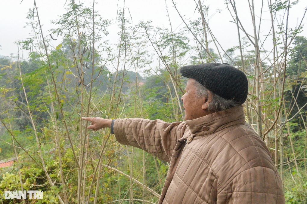 Chuyện tình sóng gió của cụ ông 96 tuổi với 4 người vợ - 4