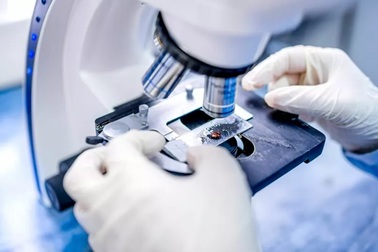 Các nhà virus học Nga dự đoán coronavirus sẽ là bệnh theo mùa