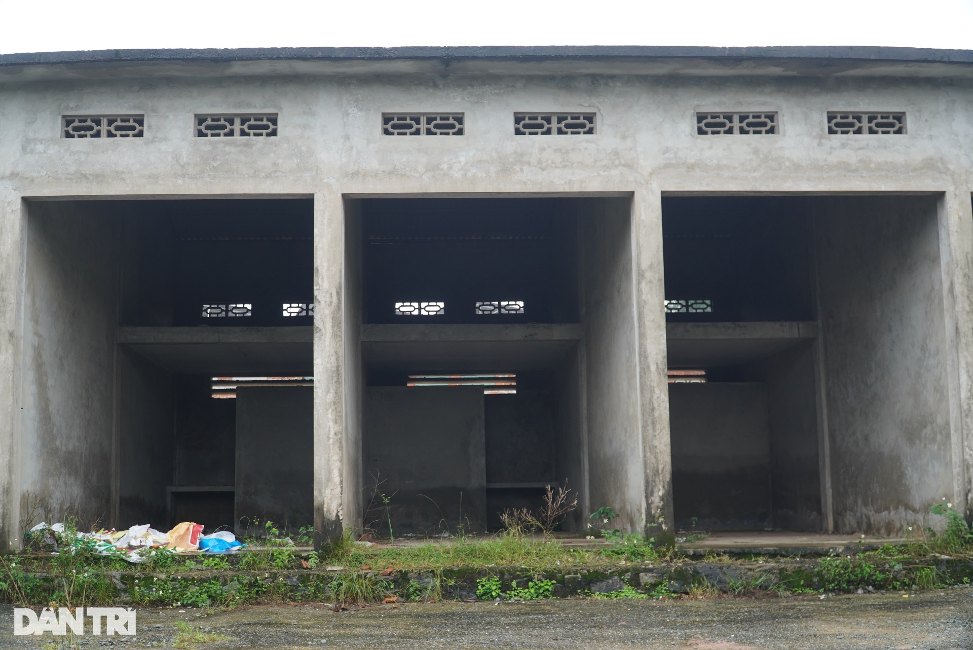 Gần 10.000m2 đất vàng nhiều năm bị bỏ hoang, thành nơi thả gà - 4 Gần 10.000m2 đất vàng nhiều năm bị bỏ hoang, thành nơi thả gà - 4