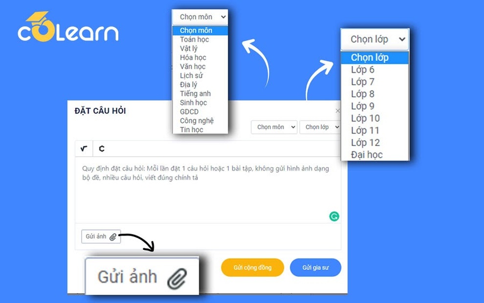 Ra mắt trong mùa dịch, ứng dụng học tập CoLearn vượt mốc 100 ngàn người dùng - 1 Ra mắt trong mùa dịch, ứng dụng học tập CoLearn vượt mốc 100 ngàn người dùng - 1