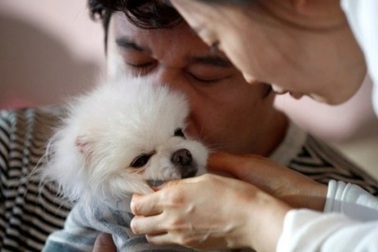 Tranh cãi quan điểm: Chọn nuôi thú cưng thay vì sinh con là ích kỷ?