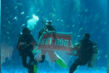 Chàng trai nhờ 3 thợ lặn ở thủy cung Phú Quốc giúp cầu hôn bạn gái