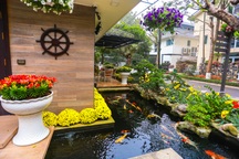 Cặp vợ chồng trẻ ở Hưng Yên "bỏ phố, về quê" làm biệt thự vườn đẹp hiếm có