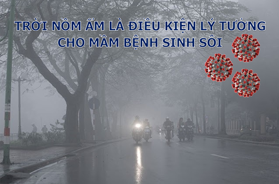 Trời nồm ẩm tăng nguy cơ mắc bệnh đường hô hấp: Làm gì để bảo vệ bản thân? - 1 Trời nồm ẩm tăng nguy cơ mắc bệnh đường hô hấp: Làm gì để bảo vệ bản thân? - 1