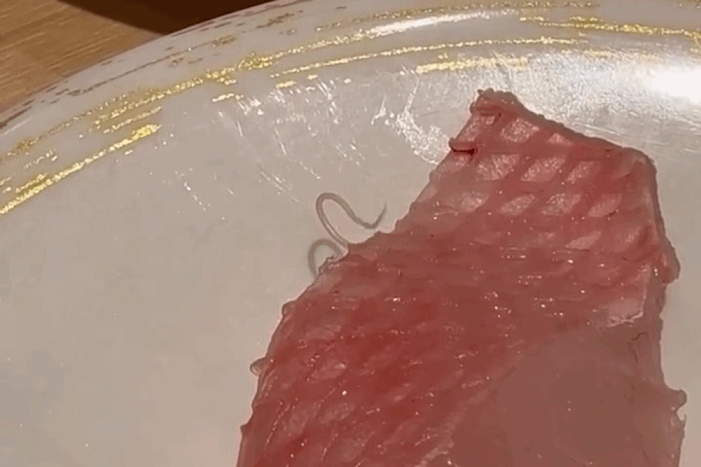 Ký sinh trùng ngoe nguẩy trên miếng cá sống, chuỗi sushi Nhật xin lỗi - 1