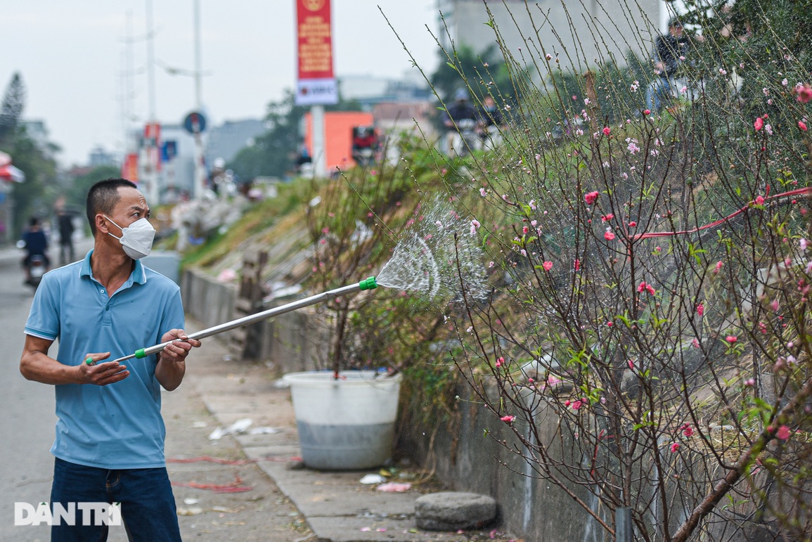 Đào Nhật Tân xuống phố sớm, giá đắt vẫn có khách chi tiền - 3 Đào Nhật Tân xuống phố sớm, giá đắt vẫn có khách chi tiền - 3