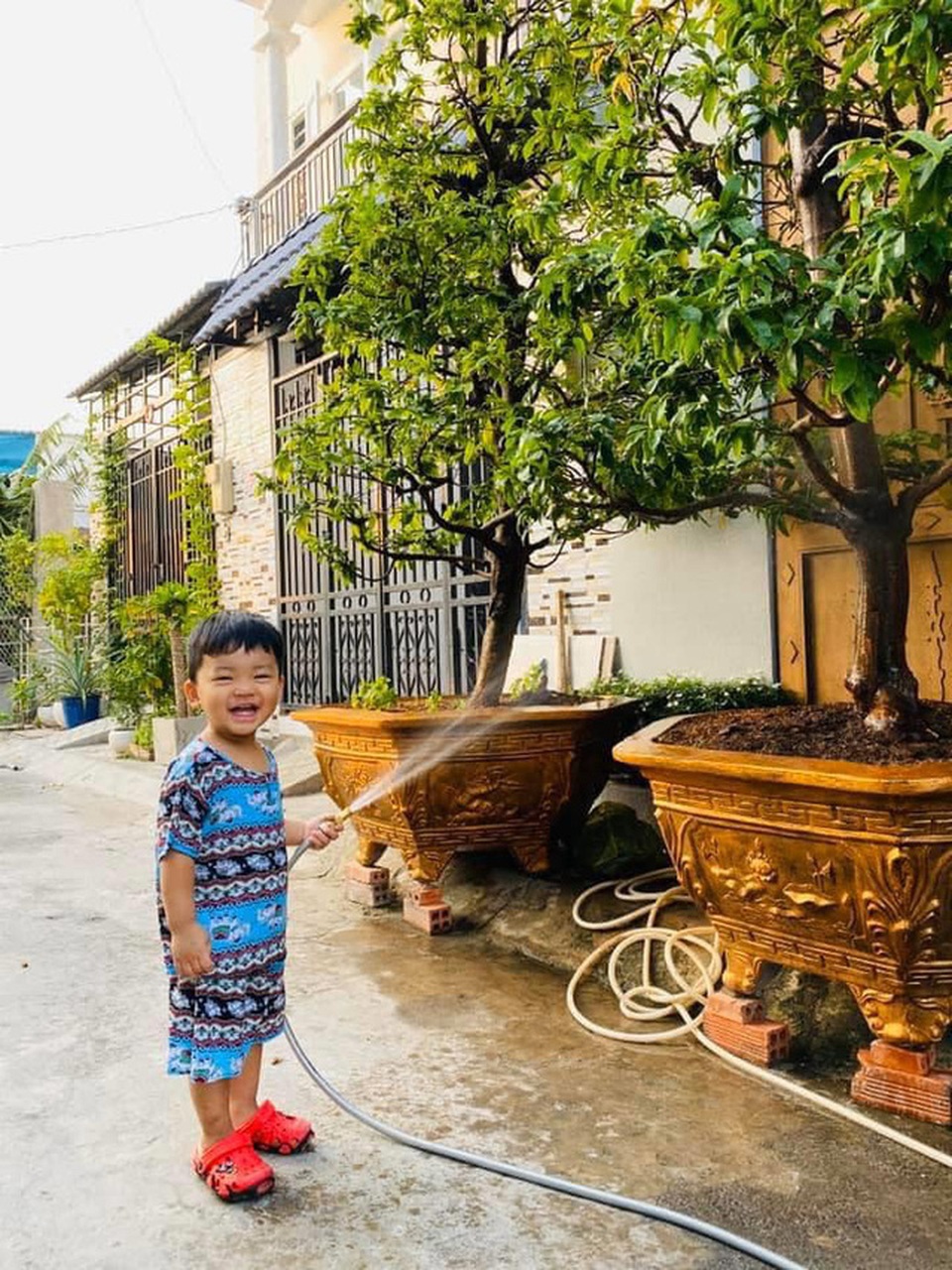 Vườn rau, trái cây xanh mướt mát của gia đình Hải Băng - Thành Đạt - 4 Vườn rau, trái cây xanh mướt mát của gia đình Hải Băng - Thành Đạt - 4