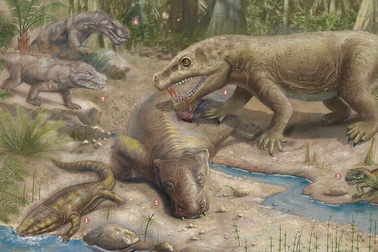 Sự sống trên Trái đất phục hồi như thế nào sau sự kiện Đại tuyệt chủng?