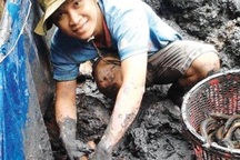 Trai nghèo nuôi lươn đồng, mỗi đợt bán 5 tạ, lời 45 triệu đồng