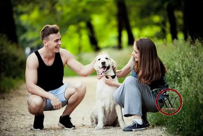9 lợi ích sức khỏe không ngờ khi nuôi chó - Ảnh 1. 9 lợi ích sức khỏe không ngờ khi nuôi chó - Ảnh 1.