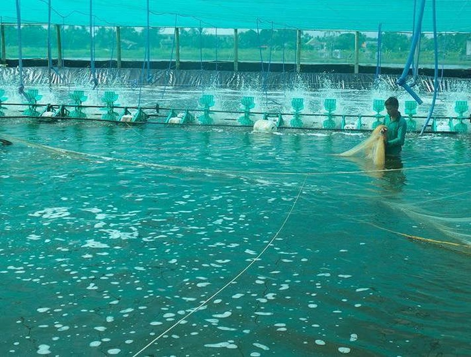 Khu công nghệ cao nghìn tỷ: Cần chọn kỹ doanh nghiệp, tránh gây lãng phí - 2