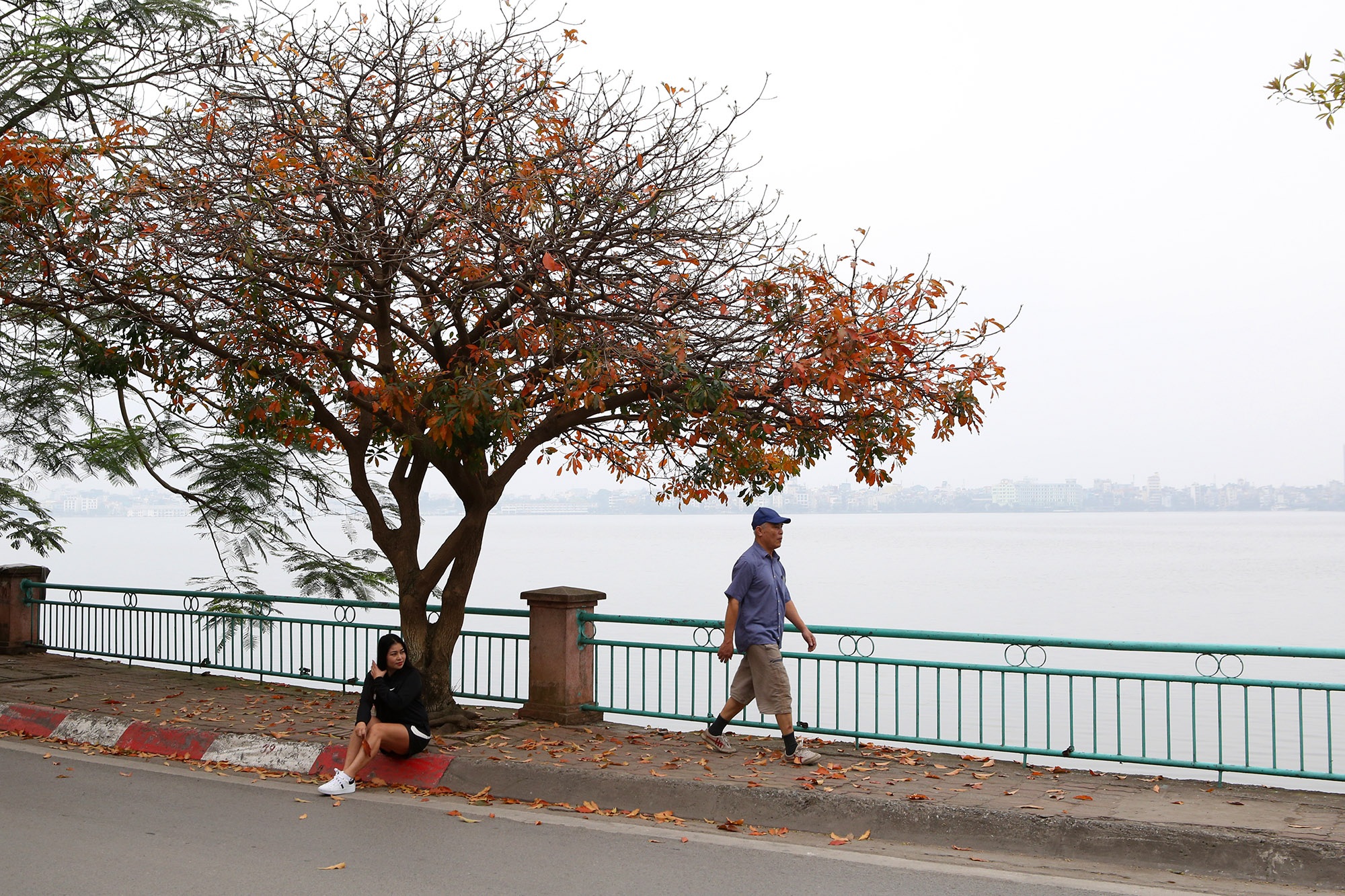 Hà Nội: Ngắm hồ Tây đẹp lãng mạn vào mùa cây thay lá - 11 Hà Nội: Ngắm hồ Tây đẹp lãng mạn vào mùa cây thay lá - 11