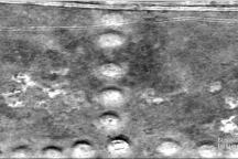 NASA không thể lý giải công trình kỳ lạ 8.000 năm tuổi ở Kazakhstan