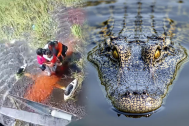 Máy bay rơi ở đầm lầy cá sấu, 5 người sống sót thần kỳ kể 36 giờ sinh tử