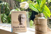 "Đánh thức trí thông minh" giúp bạn tạo ra công thức thành công