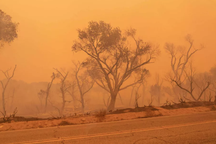 Trái đất đang "chết" nhanh hơn chúng ta tưởng