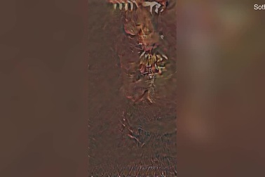 Kỳ lạ cặp tranh chân dung liên tục biến đổi