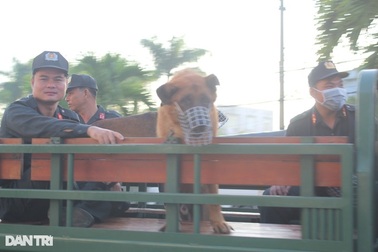 Công an Bạc Liêu xuất quân tấn công, trấn áp tội phạm dịp Tết