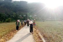 Lai Châu: Phong trào thi đua yêu nước mang lại những đổi thay