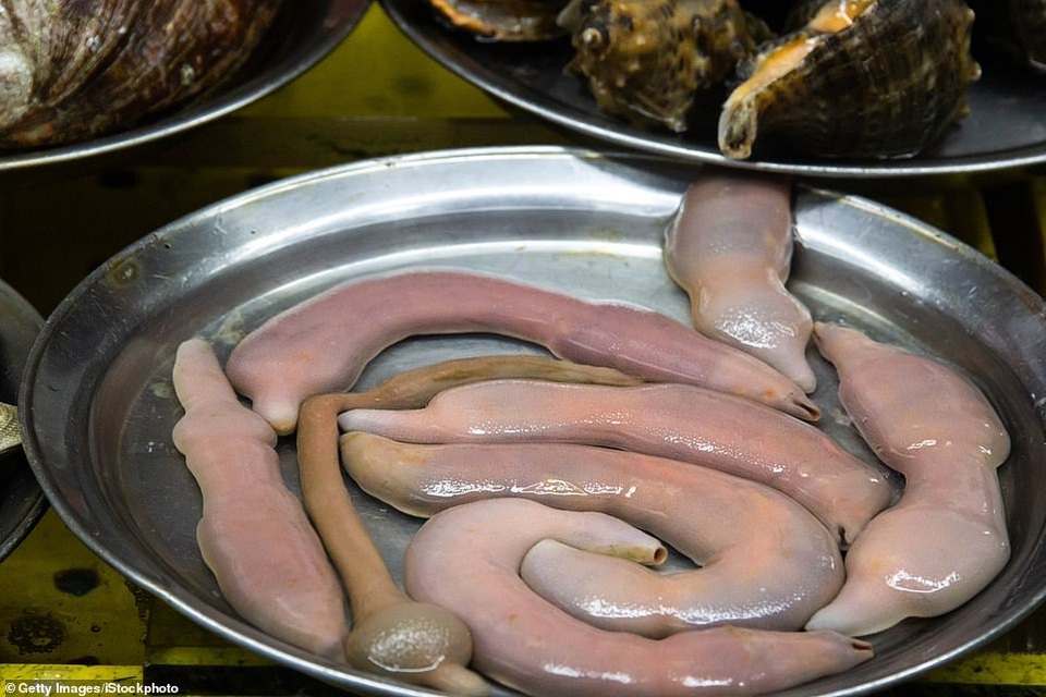 Cá dương vật phủ kín bãi biển - 4 Cá dương vật phủ kín bãi biển - 4