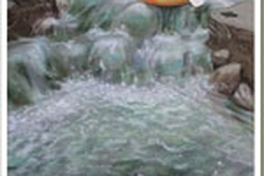 Sững sờ nghệ thuật 3D trên đường phố