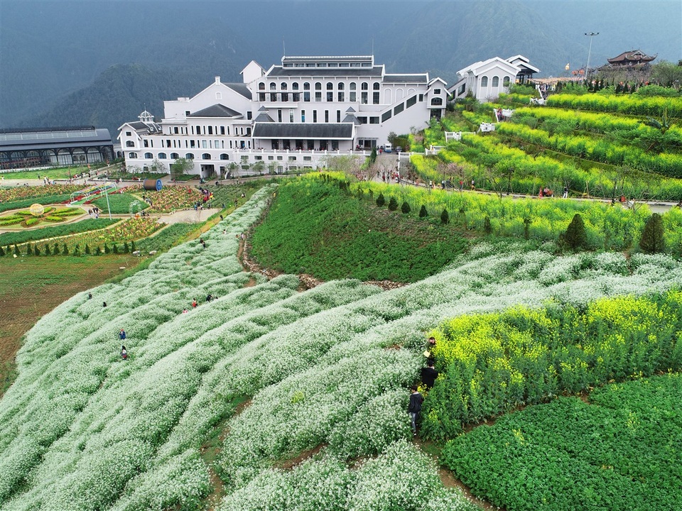 Chuyện chưa kể về những không gian xanh trên núi - 5 Chuyện chưa kể về những không gian xanh trên núi - 5