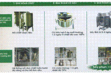 Đừng để mất tiền oan với đông dược kém chất lượng!