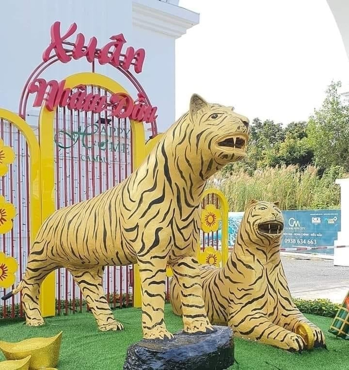 Bình chọn hoa hậu hổ hài hước: Hổ ngờ nghệch và hổ linh cẩu tranh ngôi - 6 Bình chọn hoa hậu hổ hài hước: Hổ ngờ nghệch và hổ linh cẩu tranh ngôi - 6