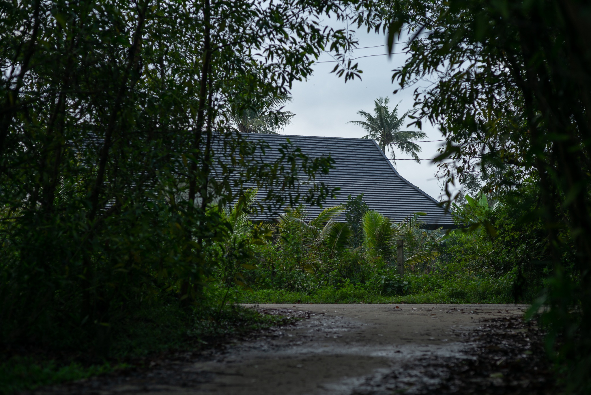 Căn biệt thự nhà vườn này nằm giữa rừng keo lá tràm tại huyện Quế Sơn, tỉnh Quảng Nam.