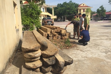 Đối tượng chở gỗ lậu tấn công kiểm lâm viên khi bị truy bắt