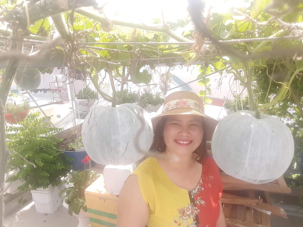 Học cách làm phân cá giàu đạm giúp cây phát triển xanh tốt - 4 Học cách làm phân cá giàu đạm giúp cây phát triển xanh tốt - 4