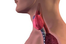 Chế độ ăn uống ảnh hưởng thế nào đến nguy cơ mắc ung thư thực quản?