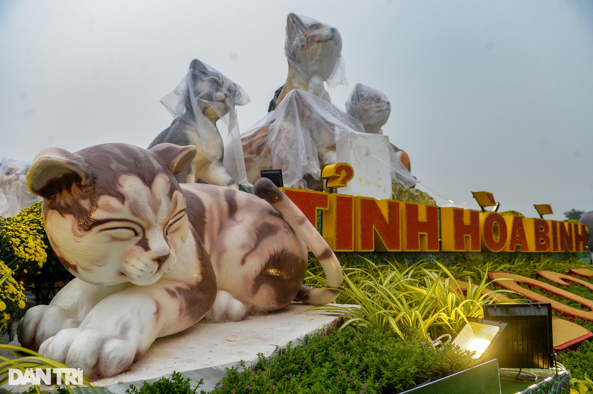 Gia đình linh vật mèo chào Xuân Quý Mão 2023 ở Hòa Bình - 6 Gia đình linh vật mèo chào Xuân Quý Mão 2023 ở Hòa Bình - 6