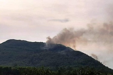 Rừng thông bốc cháy ngùn ngụt giữa trưa nắng nóng