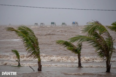 Nước vùng cửa sông ven biển Hưng Yên dâng cao, có trạm vượt lịch sử