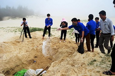 Nghiêm cấm sử dụng, kinh doanh, tiêu thụ thủy, hải sản chết bất thường