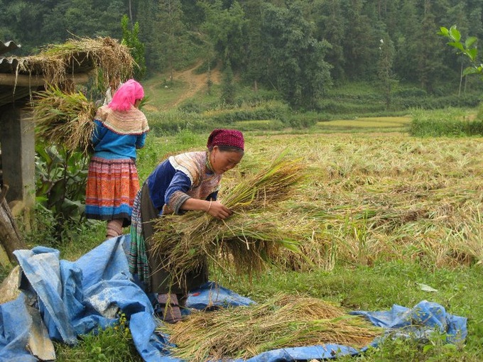 Kinh tế- xã hội vùng DTTS &MN được cải thiện nhờ các chính sách đầu tư của Đảng, Nhà nước