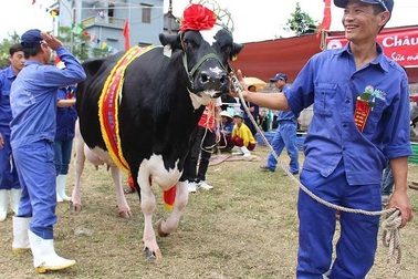 "Bữa tiệc" thâu tóm còn dang dở của đại gia