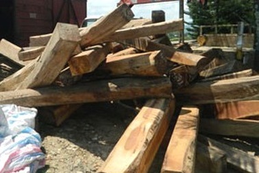 Khởi tố vụ vận chuyển 100m3 gỗ lậu bằng tàu hỏa