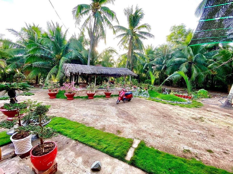 Chàng trai Tiền Giang cải tạo đất trống thành vườn 200m2 chỉ 10 triệu đồng - 8 Chàng trai Tiền Giang cải tạo đất trống thành vườn 200m2 chỉ 10 triệu đồng - 8