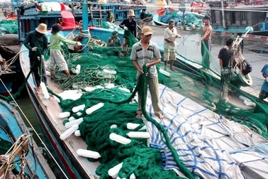 Quảng Nam thành lập Quỹ hỗ trợ ngư dân